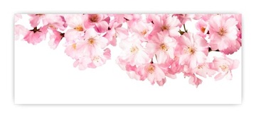 Panel hartowany lacobel grafika 150x60 cm PAN