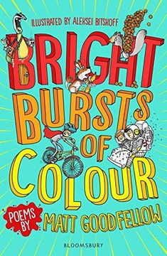 BRIGHT BURSTS OF COLOUR - Matt Goodfellow (KSIĄŻKA