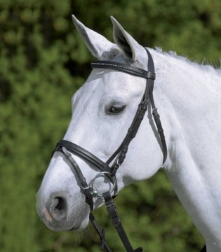 Star Ogłowie Diamont - Czarne (Rozmiar: Pony)