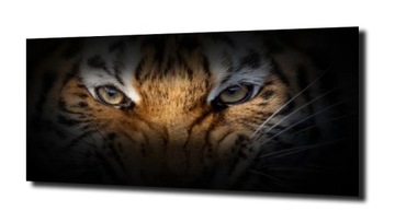 OBRAZ NA SZKLE TYGRYS AFRYKA OKO 125X50