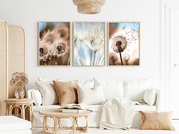 ОДУВАНЦЫ КОРИЧНЕВЫЕ комплект из 3 постеров 30х40 картинка №342