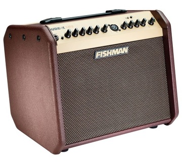 Fishman Loudbox Mini Bluetooth