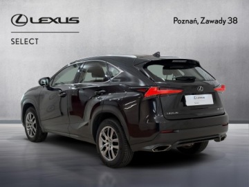 Lexus NX I SUV Facelifting 300 238KM 2019 Lexus NX 300 Optimum AWD I (2014-2021) Lexus NX 30, zdjęcie 8