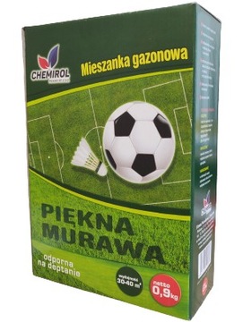 TRAWA MIESZANKA TRAW Piękna Murawa 0,9kg Trawnik
