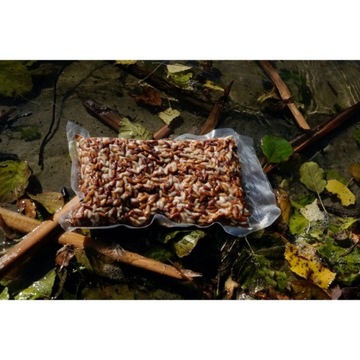 WORM CASTER 0,25 Л ЖИВАЯ ПРИМАНКА ДЛЯ РЫБАЛКИ