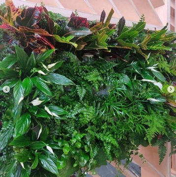 GREEN WALL Вертикальный сад, большой модуль PG14