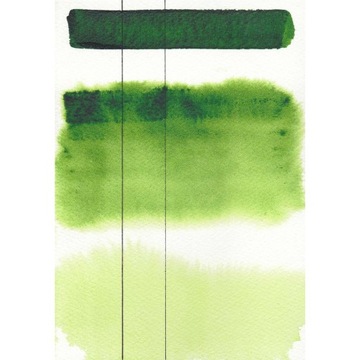 Akwarela Aquarius Szmal 233 Sap Green