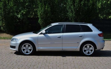 Audi 2009 Audi A3 Sportback GWARANCJA,1.9 TDI, 2 Komplety kol, Dobre wyposazenie, La, zdjęcie 15