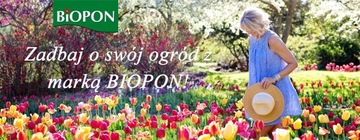 ЖИДКОЕ УДОБРЕНИЕ ДЛЯ ЗЕЛЕНЫХ РАСТЕНИЙ ПРОТИВ ХЛОРОЗА