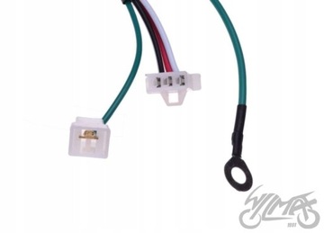 КАТУШКА С МОДУЛЕМ ДЛЯ MINARELLI MALAGUTI