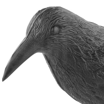 БОЛЬШОЙ СЫРЬЕ, ГОЛУБЬ, ОТПУСКАТЕЛЬ ПТИЦ, Отпугиватель птиц, ЗАПАСНИКИ, ГОЛУБИ, НАЧИНКИ