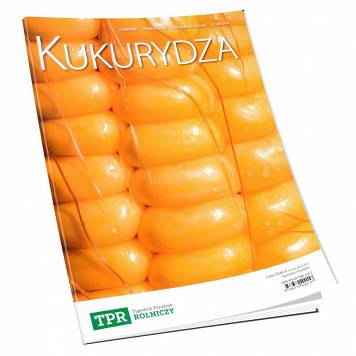 Kukurydza. Odmiany, nawożenie, uprawa kukurydzy