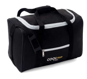 Сумка WIZZAIR LUGGAGE BAG 40x30x20