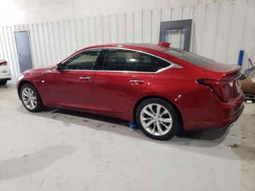 Cadillac 2025 Cadillac CT5 Premium Luxury 2025 2.0l 2.0 Benzyna 237KM, zdjęcie 1