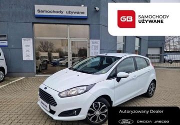 Ford Fiesta VII Hatchback 5d 1.4 Duratec 96KM 2013 Ford Fiesta 1.4 Duratec 96 KM Salon PL Serwis ASO 1 wlasciciel 1.4
