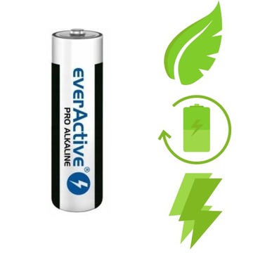 ЩЕЛОЧНЫЕ БАТАРЕЙКИ AAA Everactive LR03 Powerful PRO СЕРИЯ НАБОР ИЗ 10 ШТ.