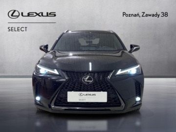 Lexus UX Crossover Facelifting 2.0 250h 184KM 2023 Lexus UX 250h GPF F Sport Design 2WD Lexus UX 250h, zdjęcie 7