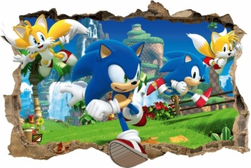 SONIC Naklejka na ścianę dziura 3d 100x67 #81