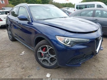 Alfa Romeo Stelvio SUV 2.0 Turbo 280KM 2018 Alfa Romeo Stelvio Alfa Romeo Stelvio 2.0T Sprowadzona, do obejrzenia w O, zdjęcie 1