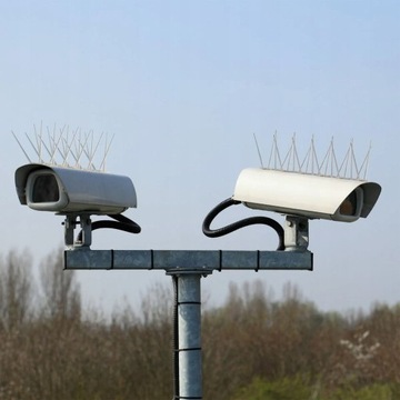 ОЧЕНЬ ПЛОТНЫЕ ШИПЫ ДЛЯ ПТИЦ И ГОЛУБЕЙ НЕРЖАВЕЮЩИЕ ШИПЫ ПРОТИВ ПТИЦ 50 см