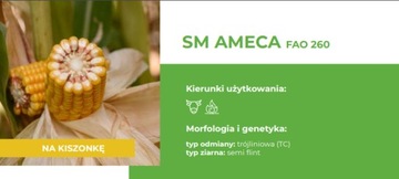 Семена кукурузы SM Ameca FAO 260 50 тыс. семян высокорослые растения
