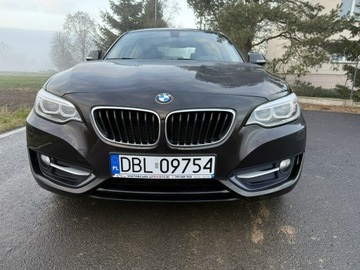 BMW Seria 2 F22-F23-F45-F46 Coupe 220i (Euro 6) 184KM 2016 BMW 220 2.0i 184KM 68tys.km. Navi Bezwypadkowy, zdjęcie 17