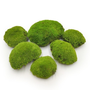 Mech Poduszkowy - Jasnozielony Naturalny PREMIUM - 100g SZWECJA