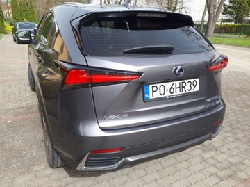 Lexus NX I 2018 Lexus NX300 155KM Hybryda 4X4 2018r salon Polska Pierwszy właściciel, zdjęcie 2