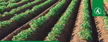 CORAGEN 200SC ИНСЕКТИЦИД 50 мл ДЛЯ ФРУКТОВЫХ БЛЕФОВ