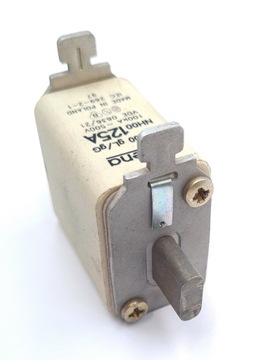 Апелляция предохранителя Вставка WTN00 NH00 125A 500V