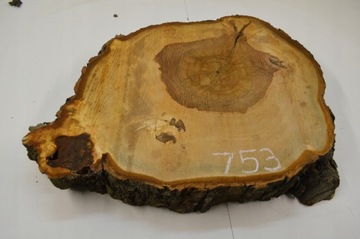 Срез каштана для смол 64x52см гр.8см