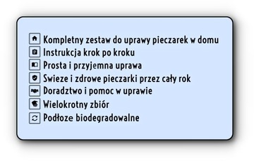 Белый гриб-мицелий, выращивание дома бесплатно 6в1