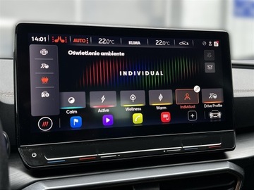 Cupra Formentor Crossover 2.0 TSI 310KM 2023 Cupra Formentor 2.0TSI 310KM 4Drive VZ DSG l Kamer, zdjęcie 26