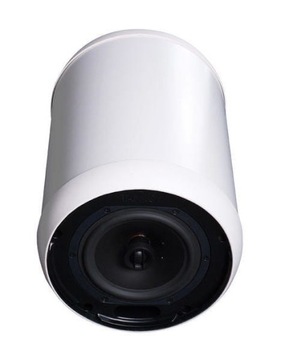 TANNOY OCV 6 White