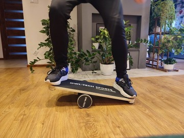 ВЫХОДНАЯ БАЛАНСОВАЯ ДОСКА БАЛАНСОВЫЕ УПРАЖНЕНИЯ ТРИКБОРД + РОЛИК