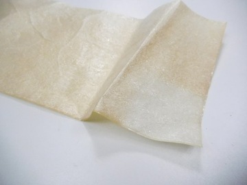 SOUND SOUNDING FOAM SCENIC II 8200298858 OE!