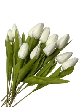 КОТИЛИОН ФУКСИЯ НА РУЧНОЙ РОЗЕ COILION ROSES