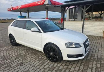 Audi A3 8P Hatchback 3d 1.6 TDI 90KM 2010 Audi A3 5 Drzwi KLIMA 1.6 Diesel 105KM, zdjęcie 2