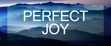 Fenzi Perfect Joy EDT 100 мл ДУХИ /pure XS