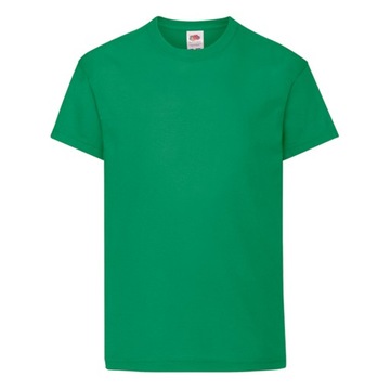 DZIECIĘCA KOSZULKA T-SHIRT FRUIT FC kel. green 164