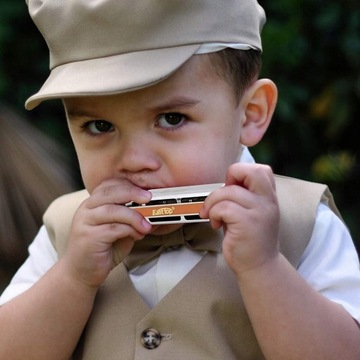 Профессиональная диатоническая блюзовая гармоника, 10 шт.