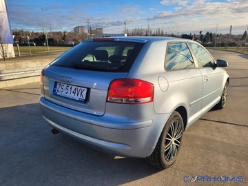 Audi A3 8P Hatchback 3d 1.6 102KM 2007 Audi A3 3-drzwiowe 1.6 MPi nowe opony Serwis Bezwypadkowy 1.6 Benzyna 102KM, zdjęcie 6