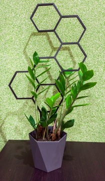 ПОДДЕРЖКА ДЛЯ ЦВЕТОВ ЛЕСТНИЦА ПЕРГОЛА XXL 58 СМ