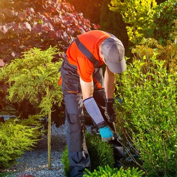 УСТОЙЧИВЫЕ К ПОРЕЗАМ ЛЕНТЫ РУКАВОВ
