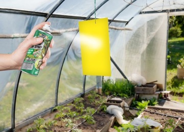 KLEJ ENTOMOLOGICZNY NA MUCHY MSZYCE MUSZKI ŚRODEK DO DRZEW NO PEST 400ML