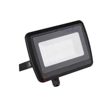 Halogen biały neutralny 4000 lm 50 W