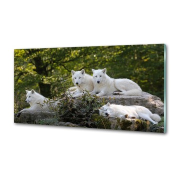 Panel do kuchni Białe wilki skała 120x60 cm + KLEJ