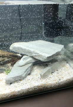 16kg Biały Grys Do Akwarium Malawi 1-4mm