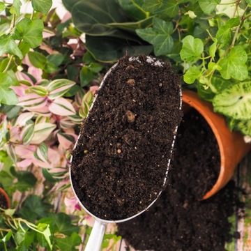 Почвенный субстрат для ЗЕЛЕНЫХ растений, смесь MIX