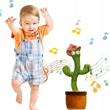 Забавный кактус DANCETUS